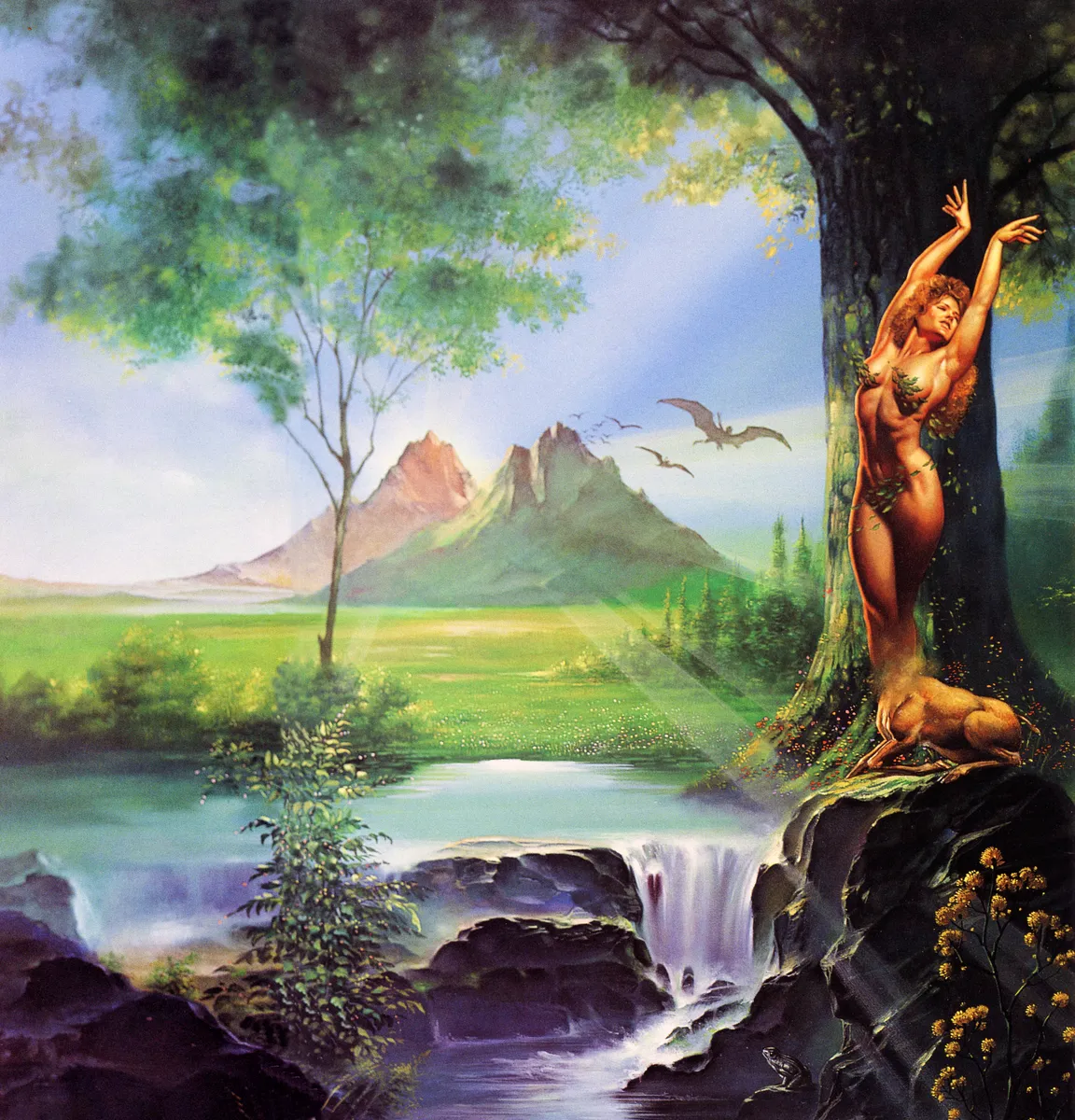 Mountain Garden